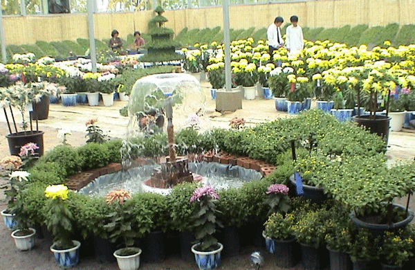 금농축제에 초대합니다1