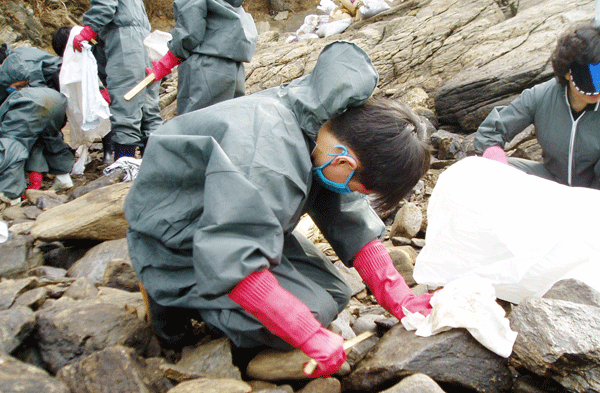 태안반도 기름제거 봉사1