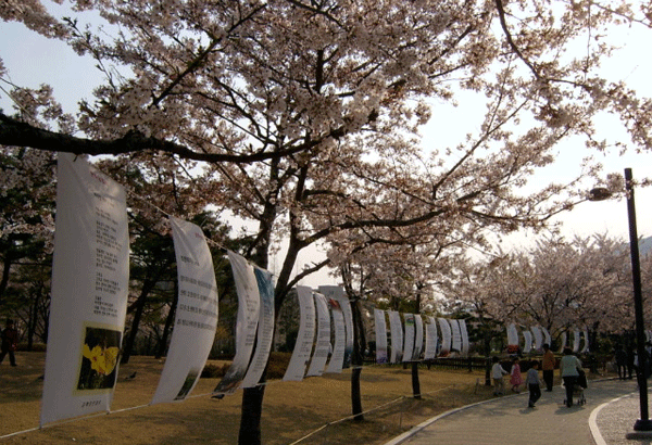 김해문협 연지 봄 축제 시화전1