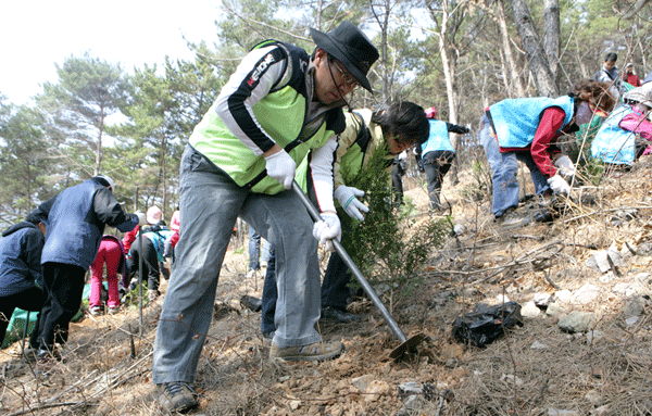“푸른 김해 만든다”1