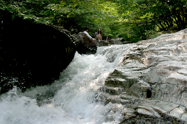 올 여름 피서 장유계곡 등 관내에서...1