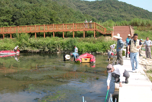 대포천축제 위한 대청소1