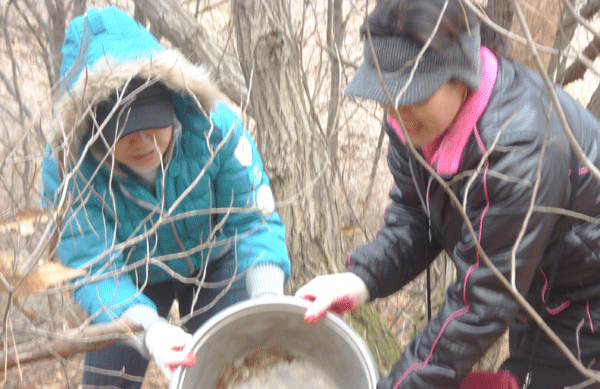 겨울철 야생동물 먹이주기1