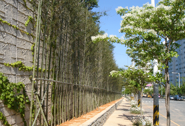 푸름 가득한 '녹색 김해' 만든다1