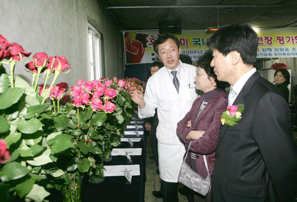 국산 장미 최고입니다1