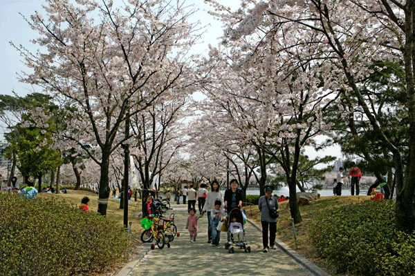 연지의 봄이 시민여러분을 초대합니다1