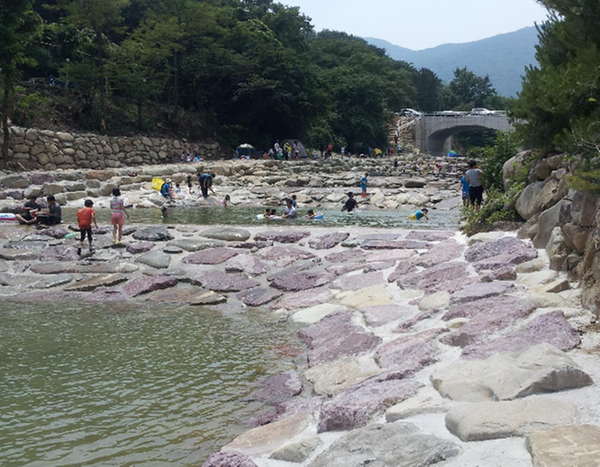 대청천 생태하천 조성사업 순조1