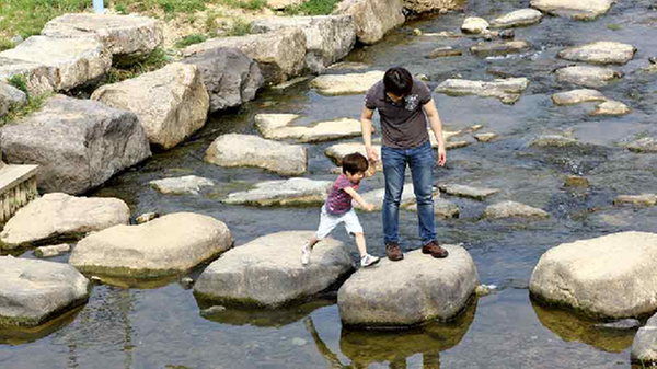 생태하천 복원! 자연을 시민의 품으로!1
