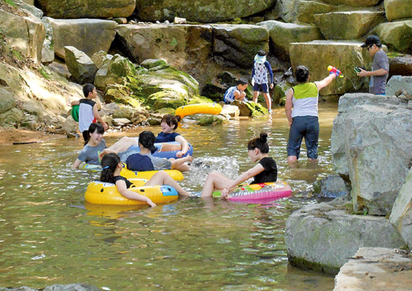 명품 피서지 장척계곡1