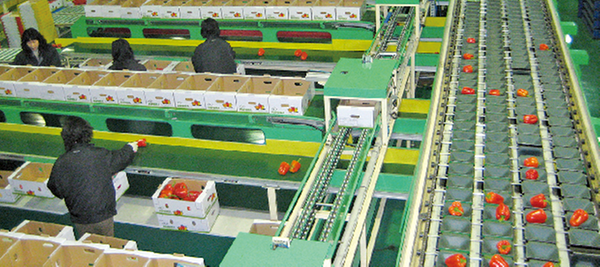 기업탐방 - (주)평화이엔지1