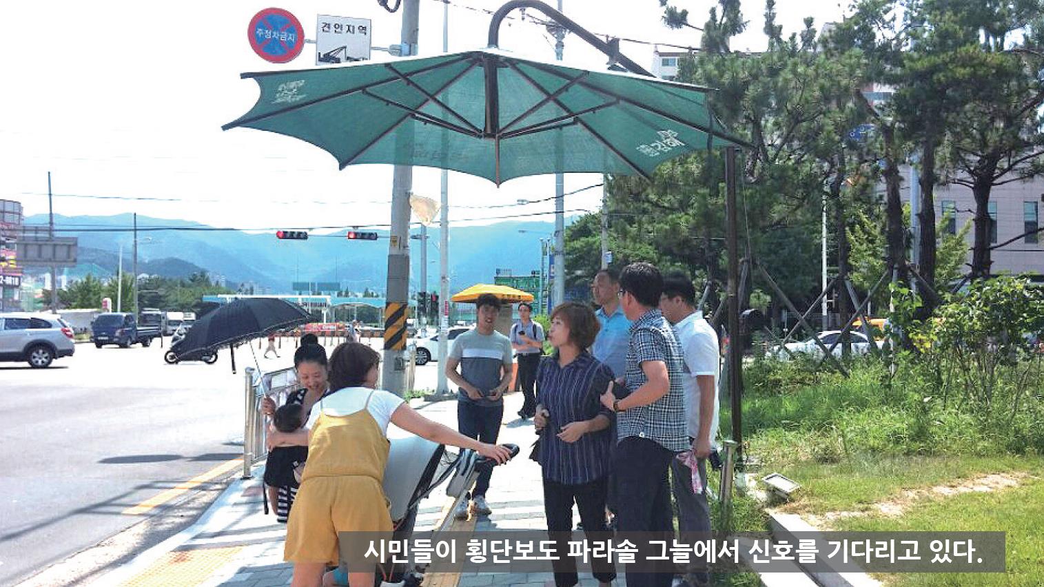 횡단보도 파라솔