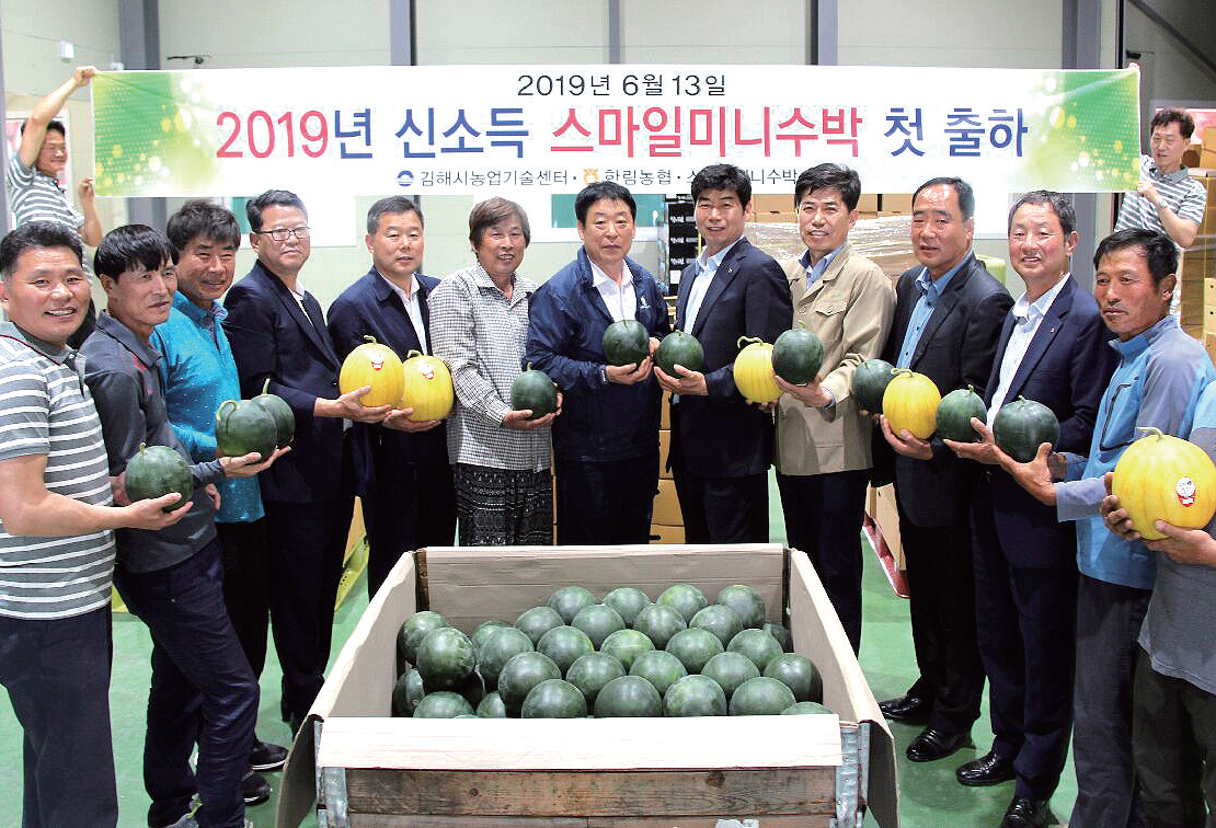 한림농협 '스마일수박' 첫 출하