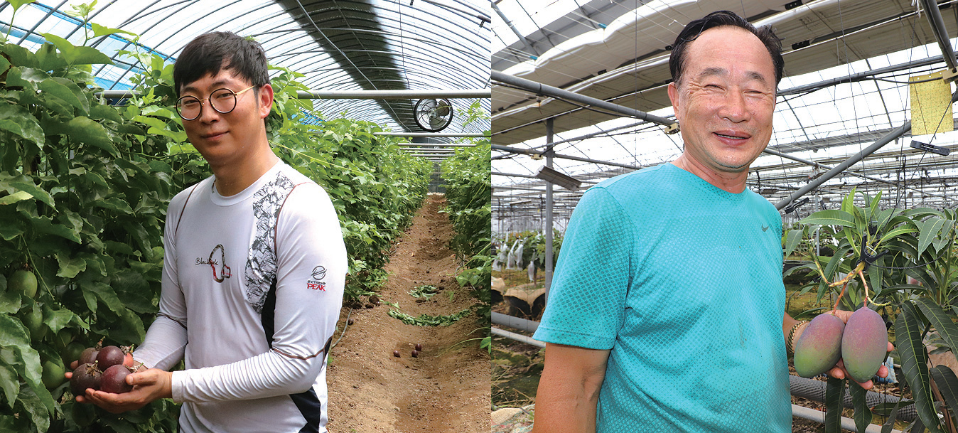 김해서 만나는 열대의 맛0