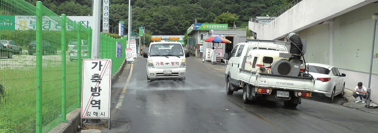 아프리카돼지열병 차단 총력0