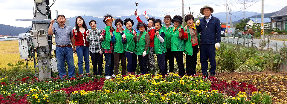 쓰레기 무단투기처 꽃밭 되다0