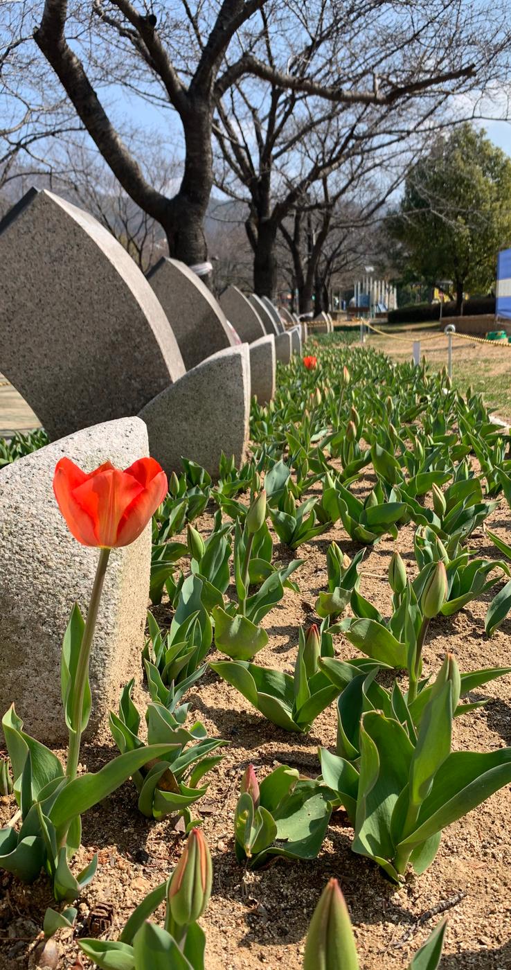 그래도 봄은 온다 반드시0
