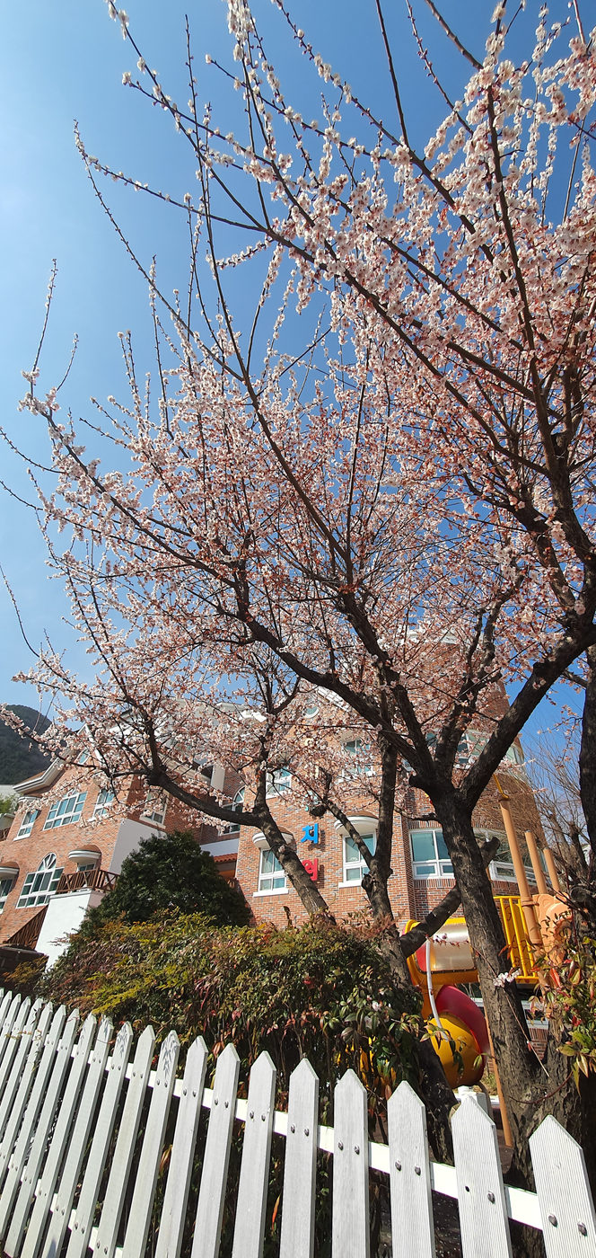 그래도 봄은 온다 반드시0