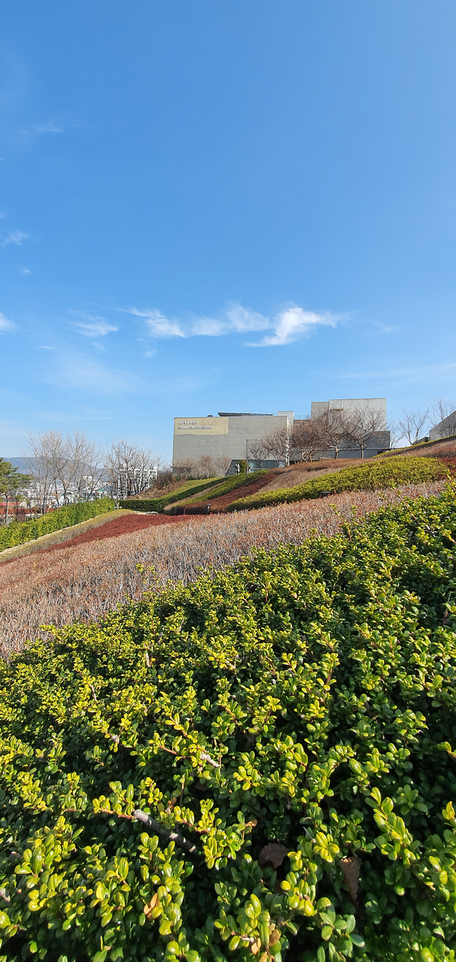 그래도 봄은 온다 반드시0