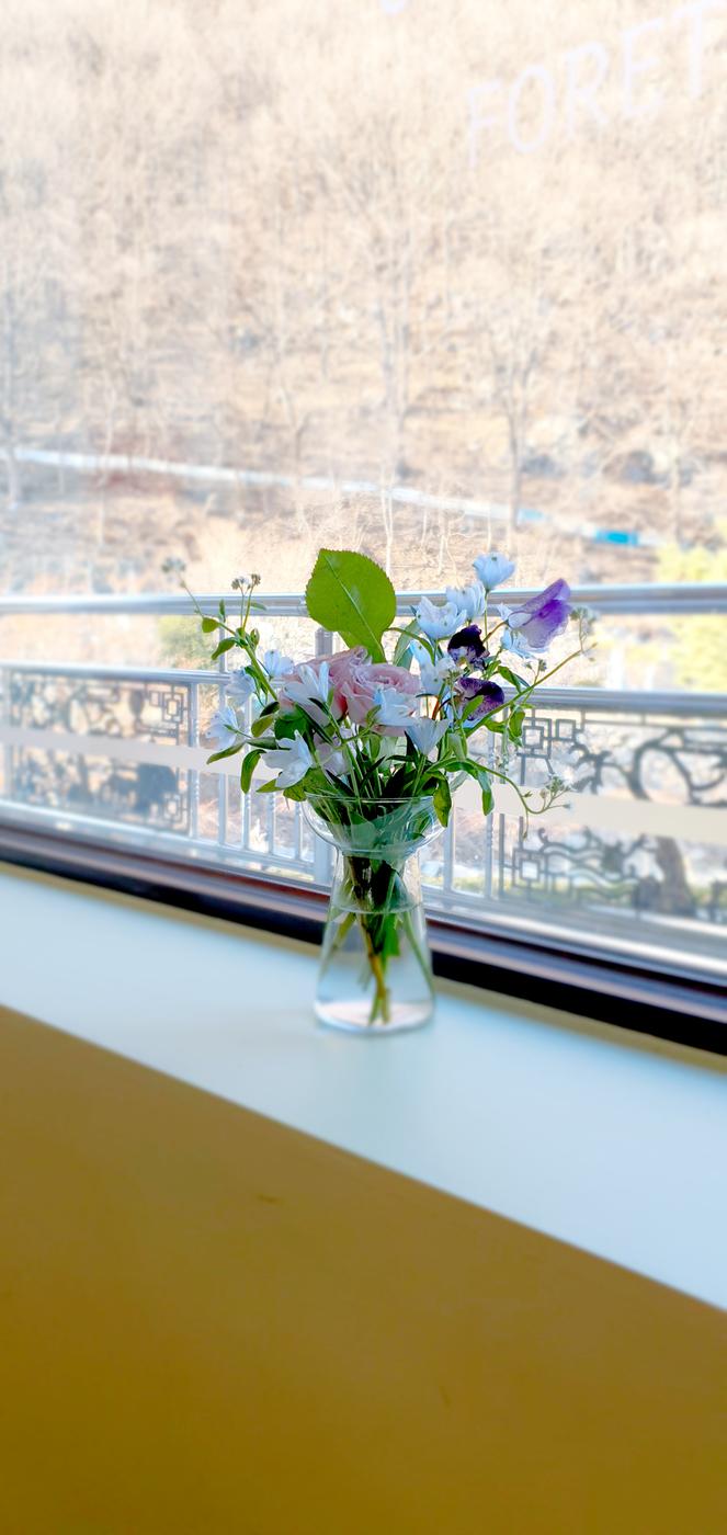 그래도 봄은 온다 반드시0