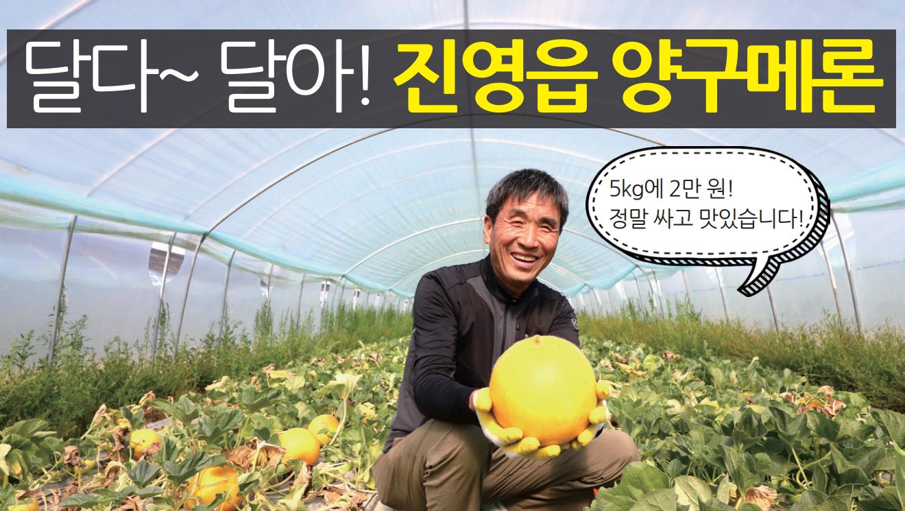 달다~ 달아! 진영읍 양구메론0