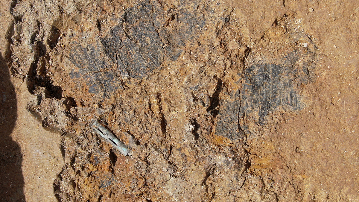 대성동고분서 가야 보물급 자료 연이어 발굴0