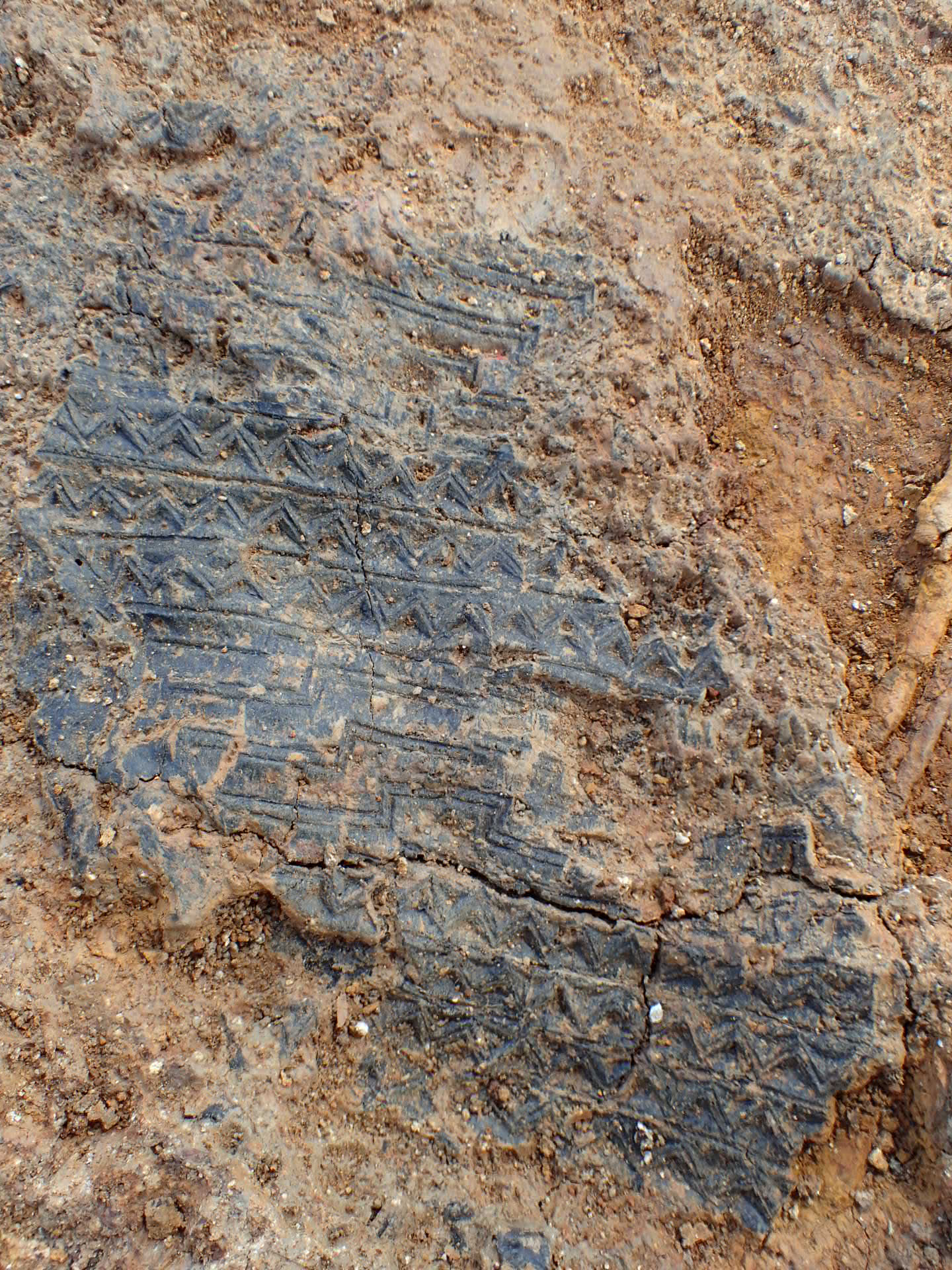 대성동고분서 가야 보물급 자료 연이어 발굴0