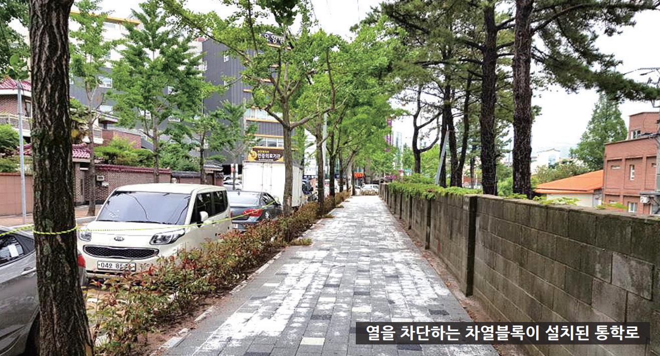 김해시, 시원한 통학로 조성0