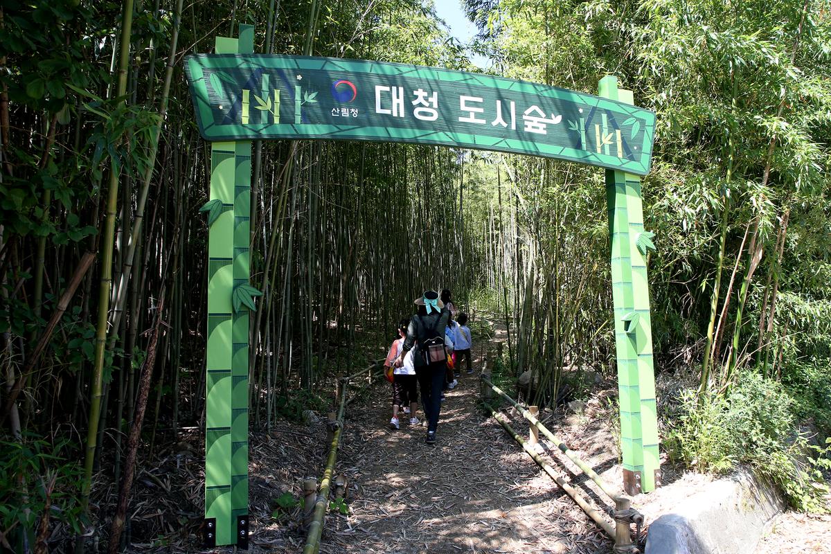 대청누리길 걸으며 피서와 힐링을 동시에0