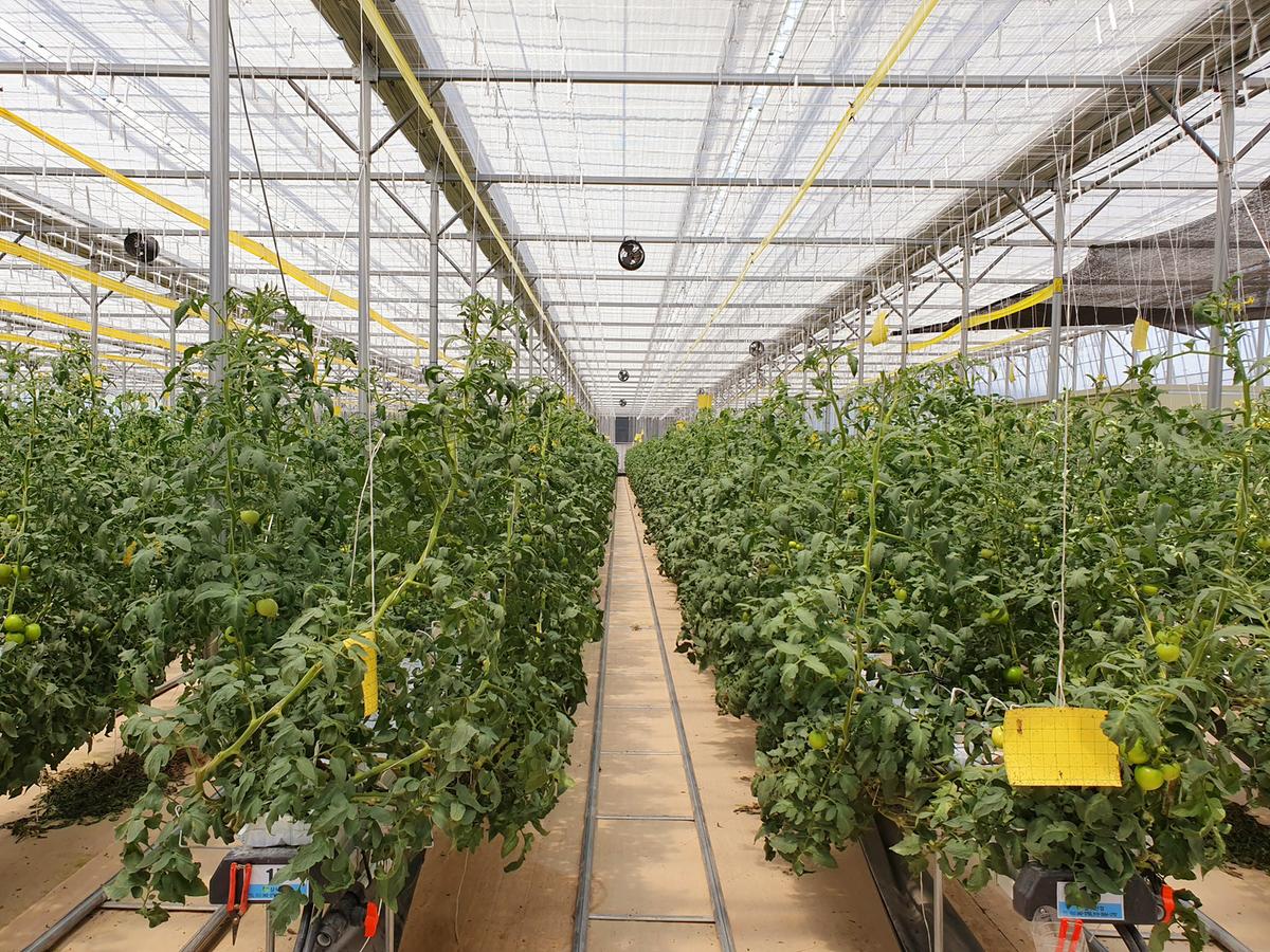 스마트 실습 농장 임차인 모집0