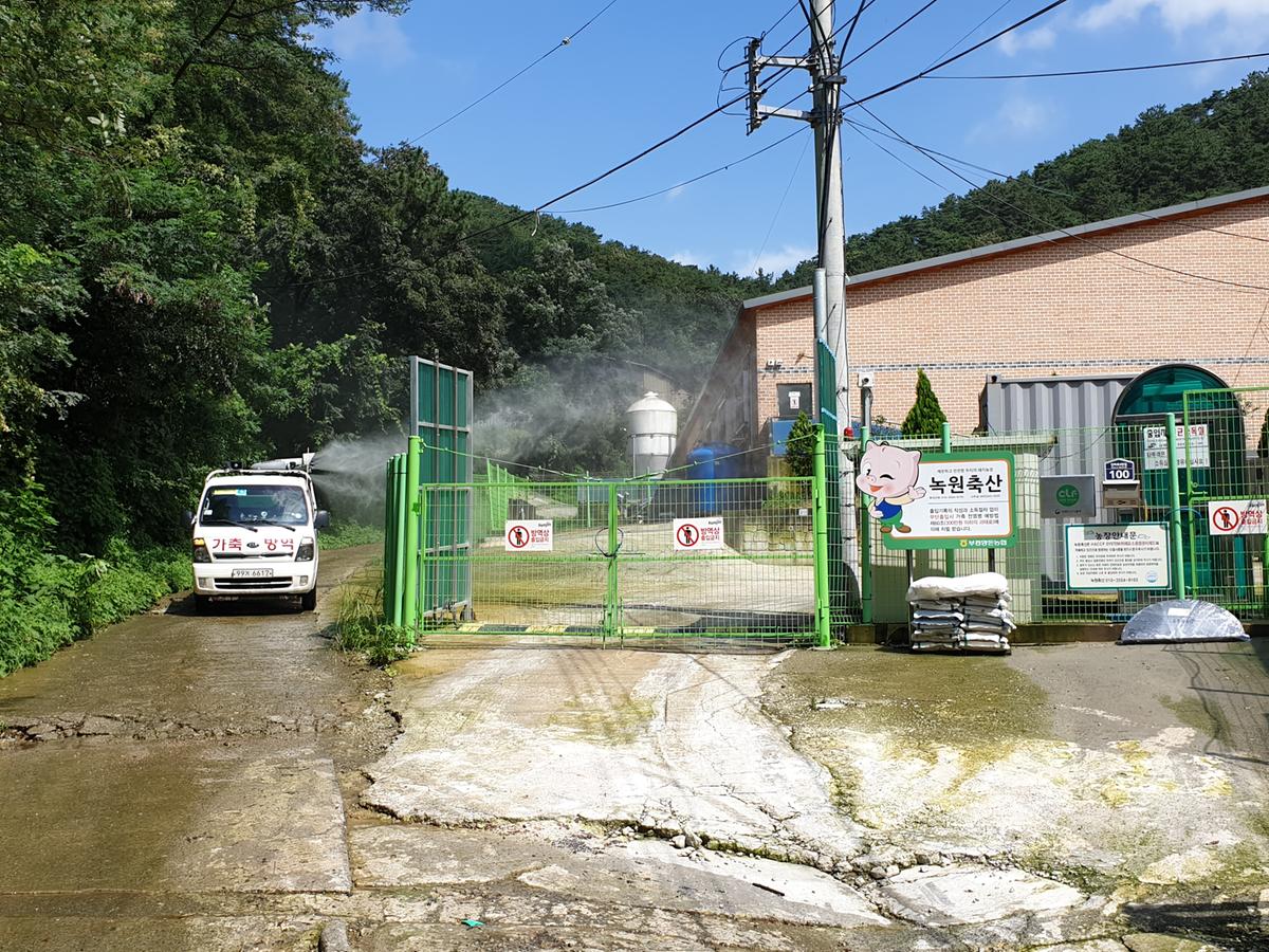 아프리카돼지열병 긴급 방역0