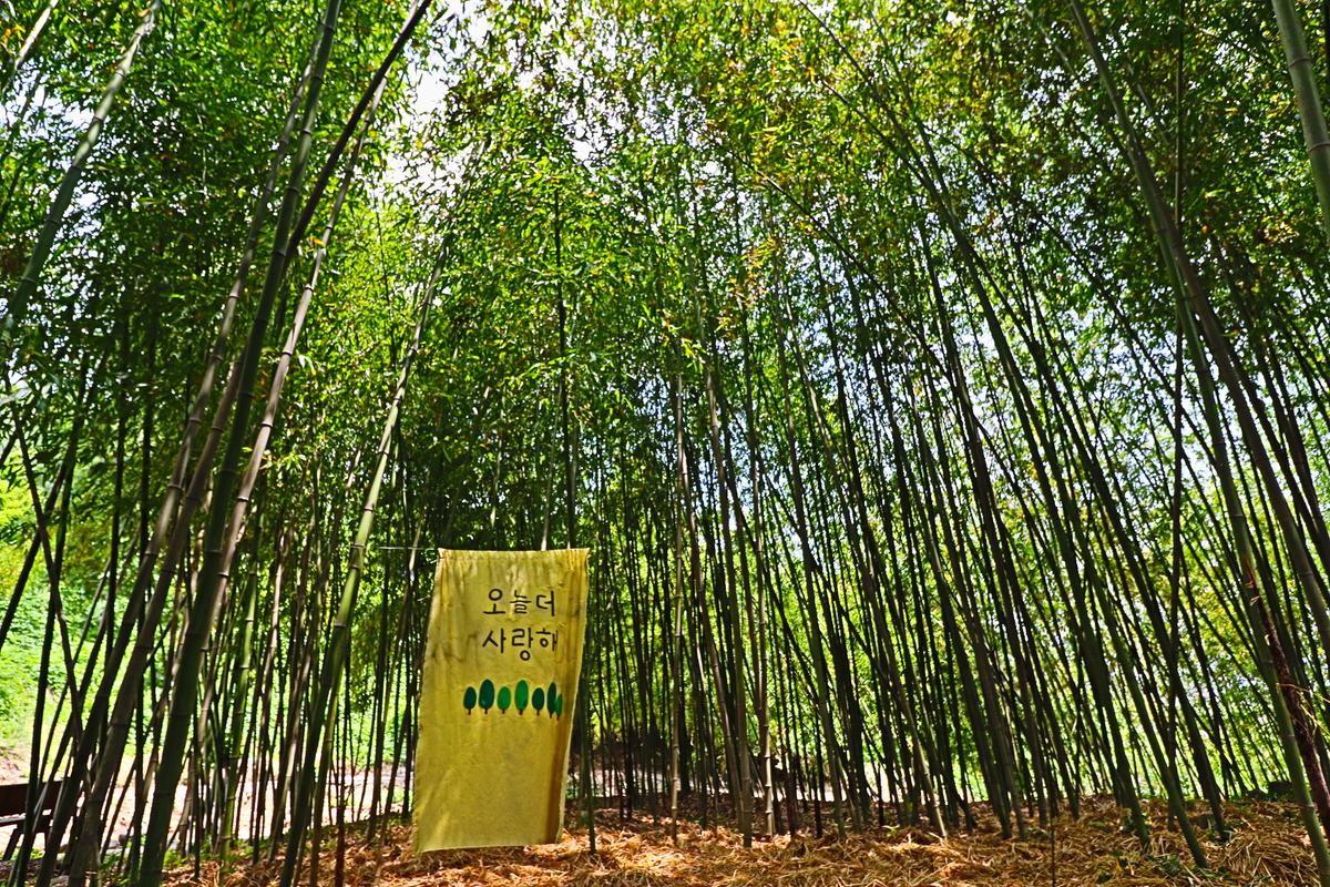 김해시, 마을 만들기 사업 도농 간 생활 격차 줄여가1