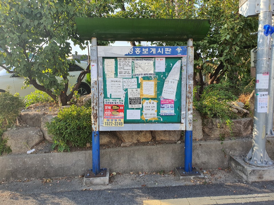 벽보 게시판 일제 정비 한다0