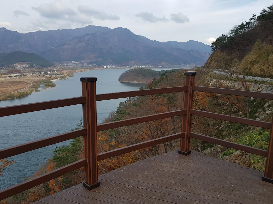 코로나 시대 숲에서 답을 찾다0