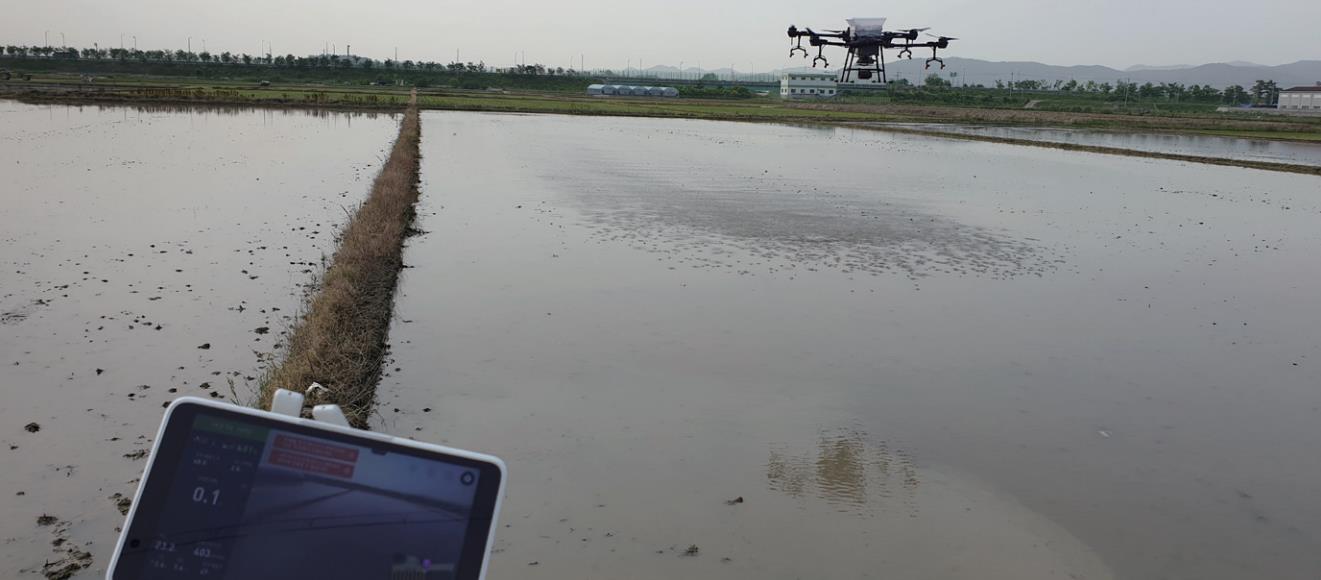 드론으로 벼 직파 사진