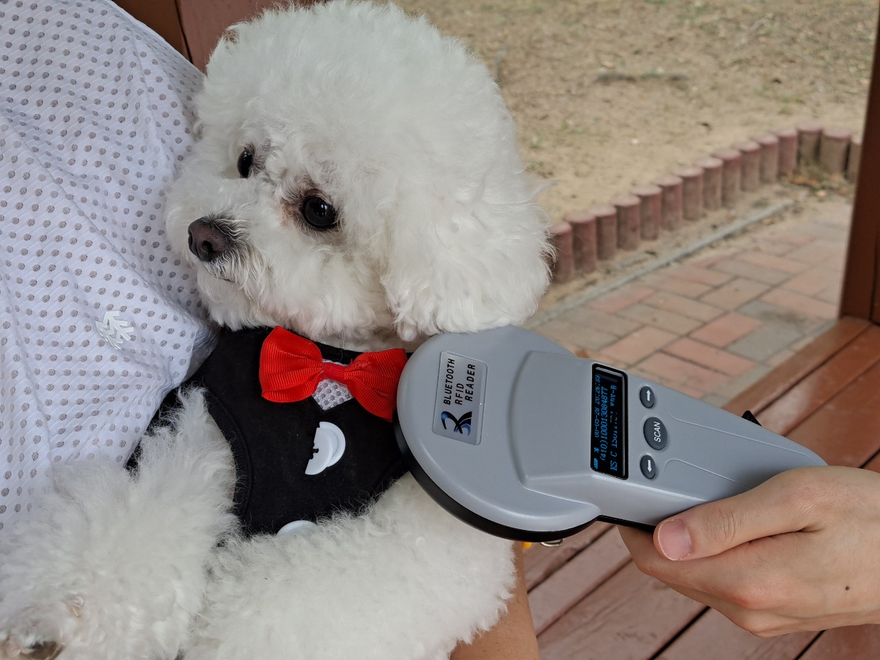 반려동물 등록 비용 지원0