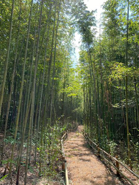 대청계곡 대청도시숲0
