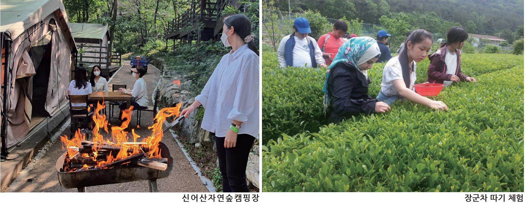 신어산자연숲캠핑장 및 장군 차 따기 체험