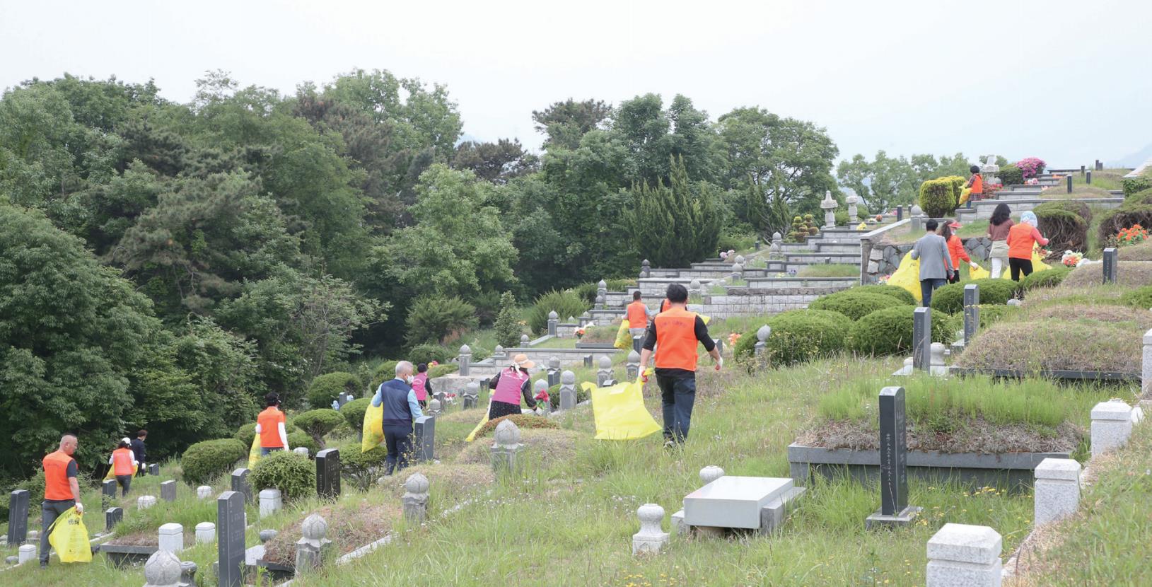 플라스틱 조화 수거사진
