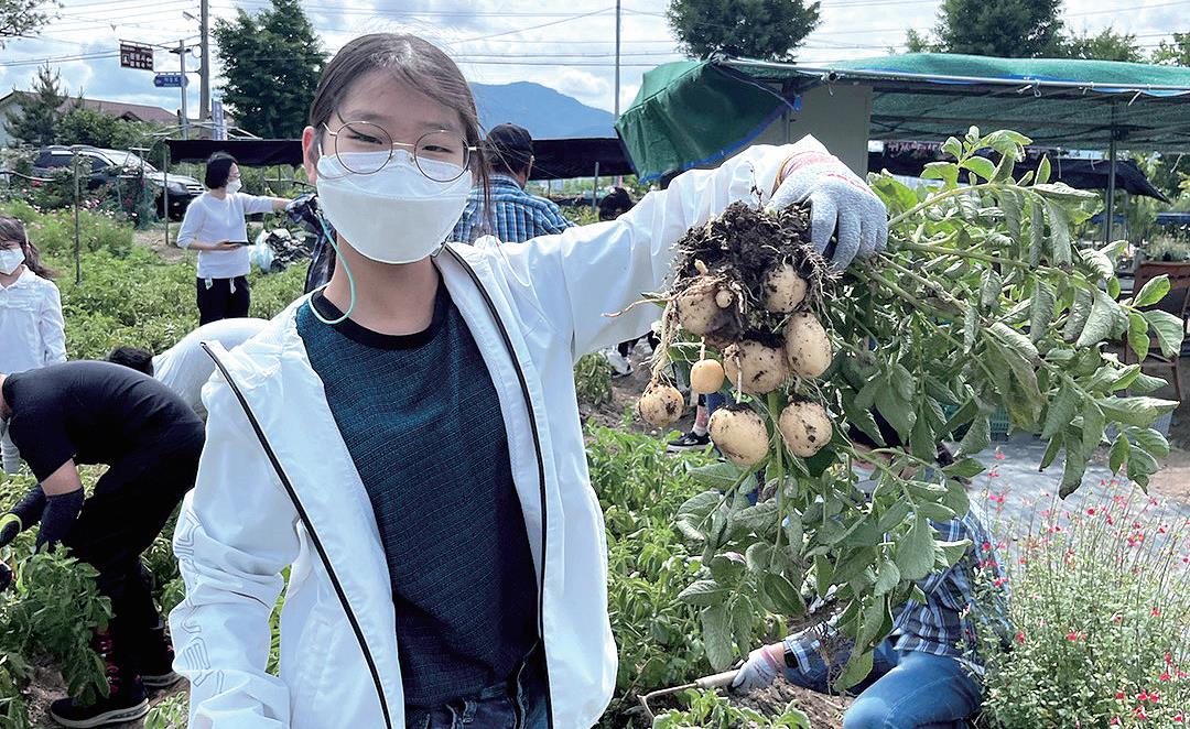 김해의 작은학교 대동면 대동초등학교 감자 수확 체험 수업