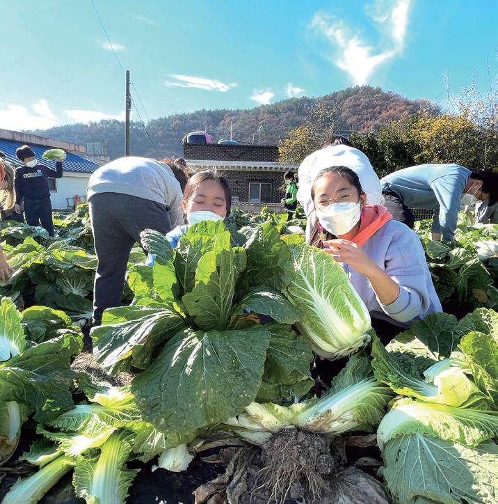 학생들이 직접 꿈Farm(학교 텃밭)