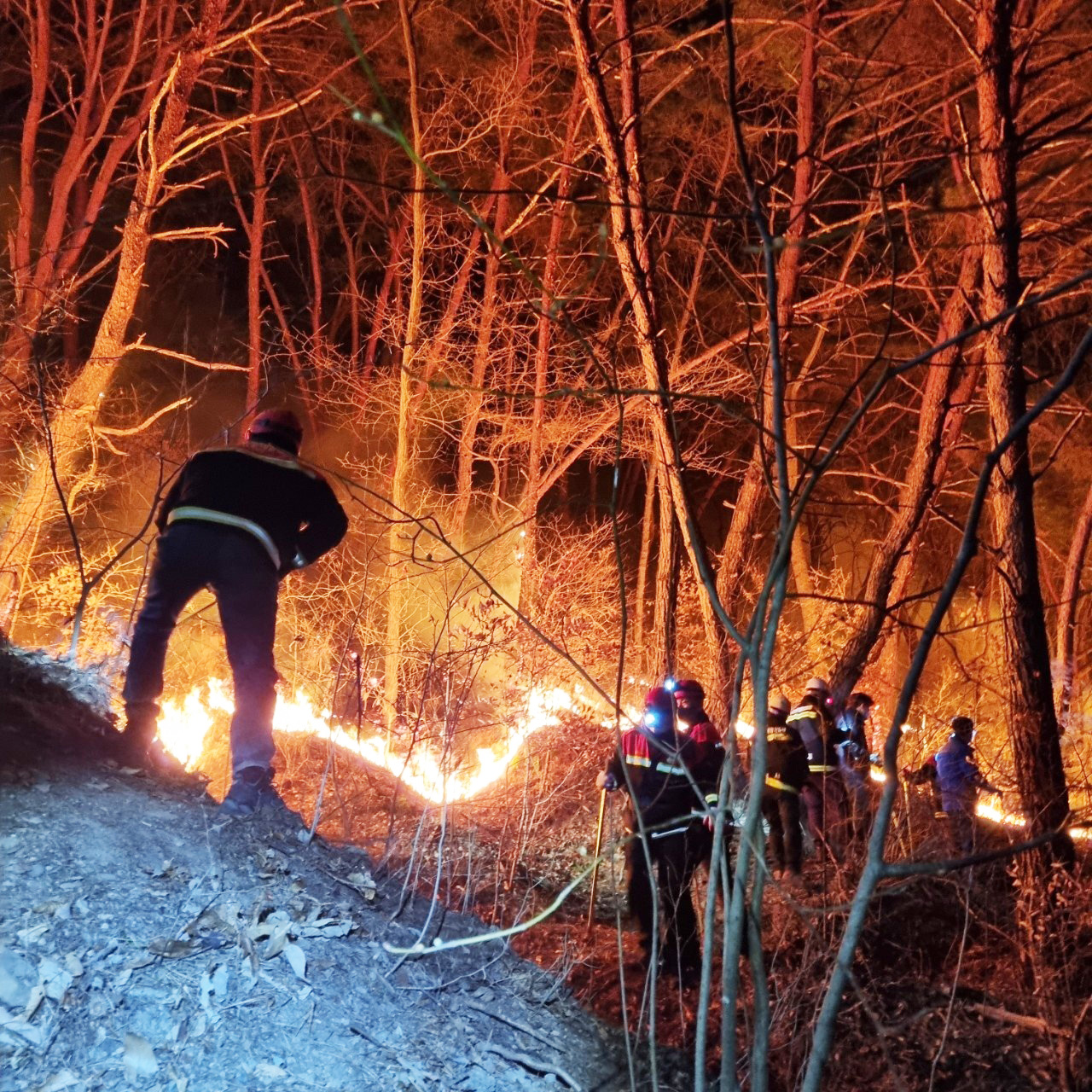 김해시  봄철 대형산불 방지 특별대책 추진
