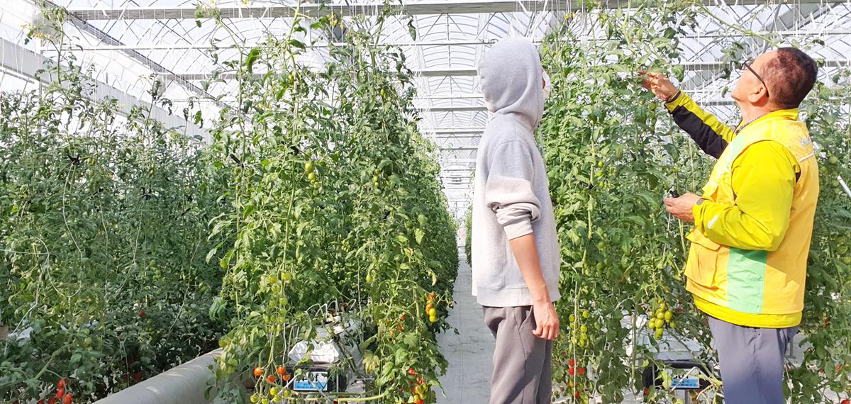 김해시  2023년 창업농 영농정착 현장지원단 운영