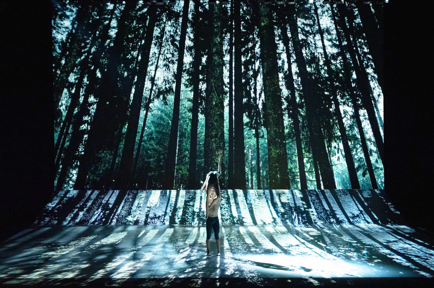 와이즈발레단 비타 