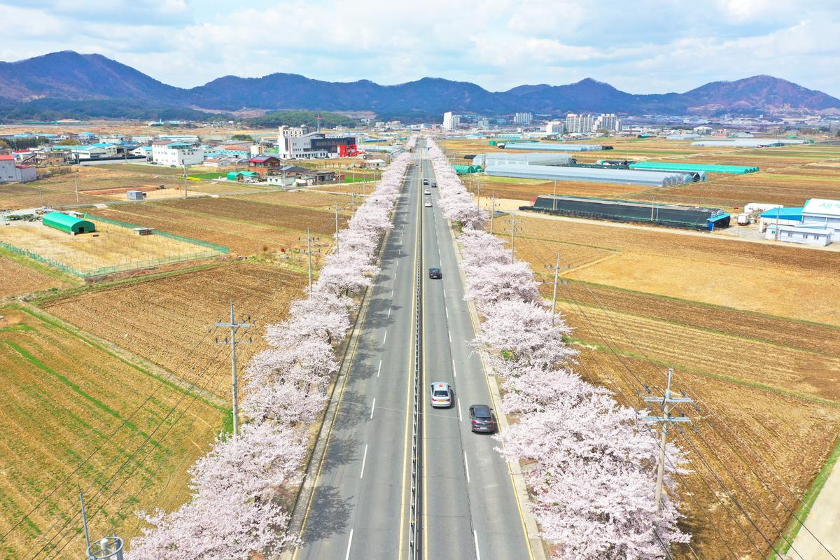 진례면 클레이아크 앞 도로