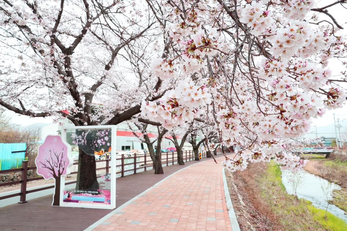 진례 시례마을 입구