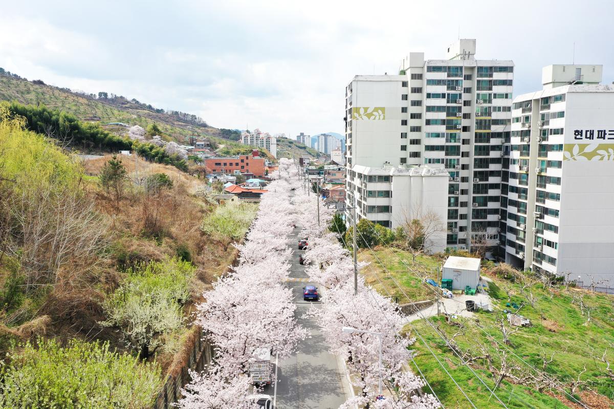 진영읍 산복도로