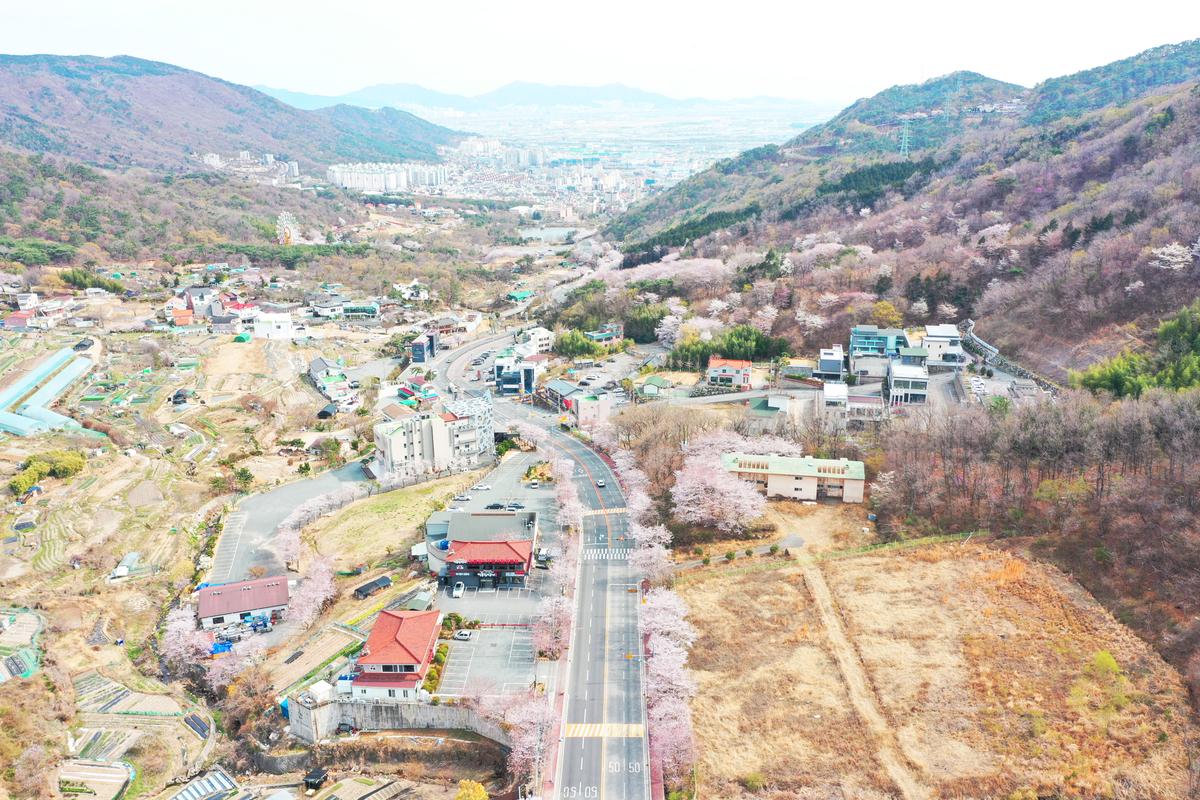 가야컨트리클럽 올라 가는 길