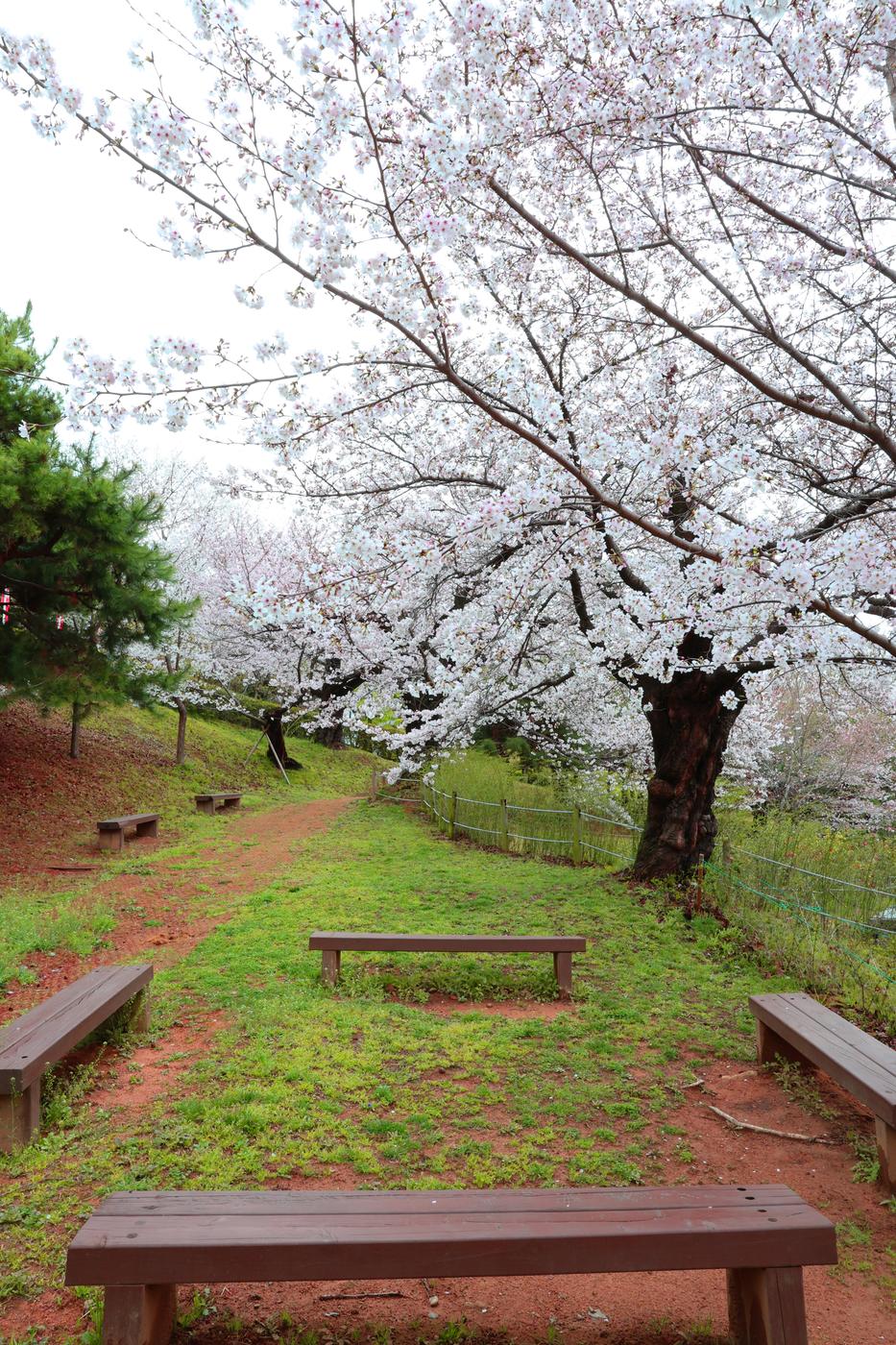 국립김해박물관 후원