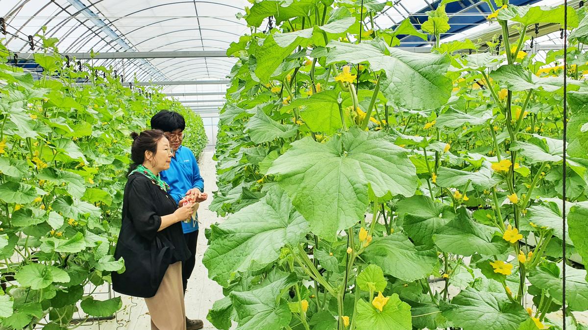 농업창업 힐링센터 운영 