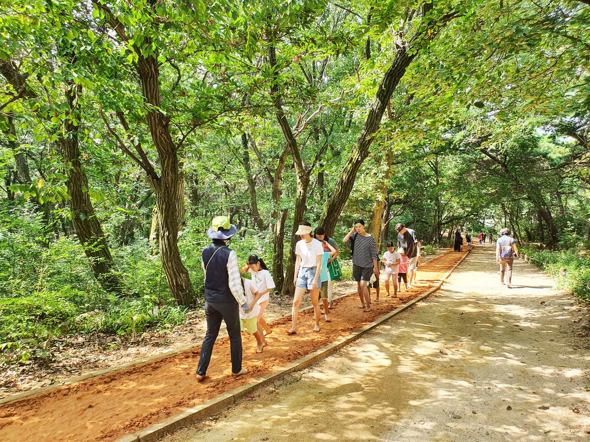 분성산 생태숲 황톳길 함께 걸어요 사진1